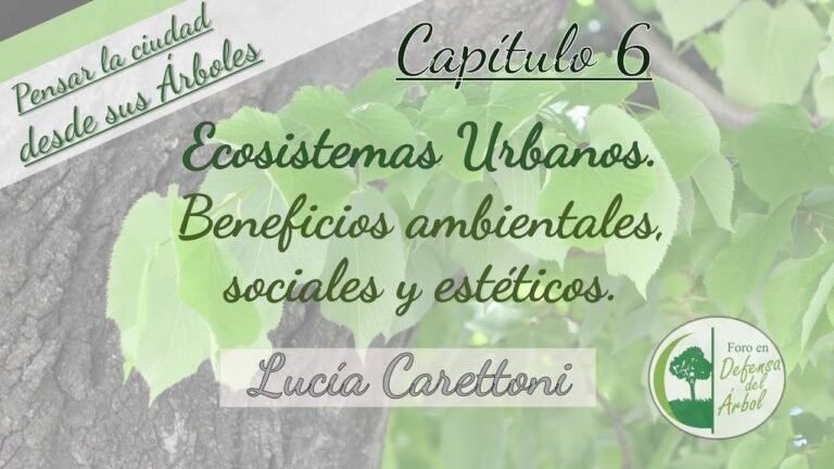 Beneficios de la Conducci&oacute;n Ecol&oacute;gica para el Medio Ambiente