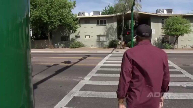 Importancia de la Se&ntilde;alizaci&oacute;n Vial en Cruces Peatonales