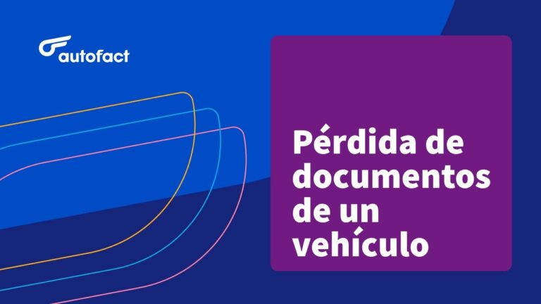 Gu&iacute;a para la Reposici&oacute;n del Carnet por Robo en el Seguro de Coche