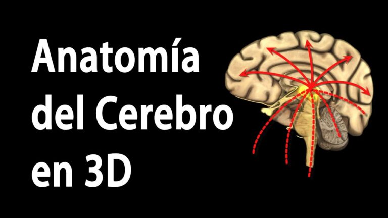 Conductas Recomendadas para el Uso de Zonas Compartidas