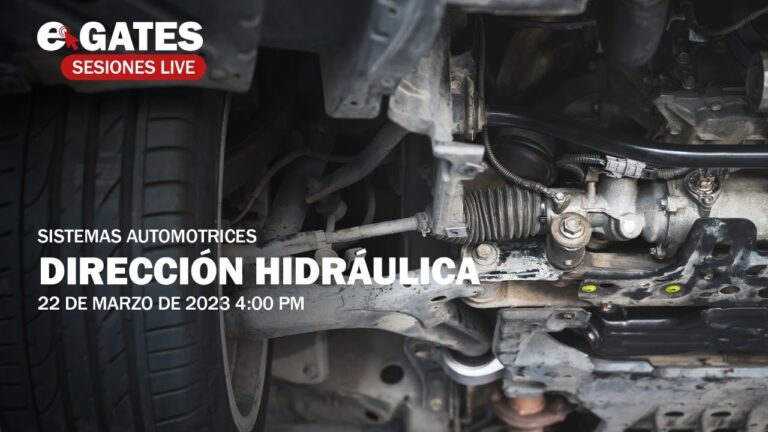 Optimizaci&oacute;n del Funcionamiento del Sistema de Direcci&oacute;n