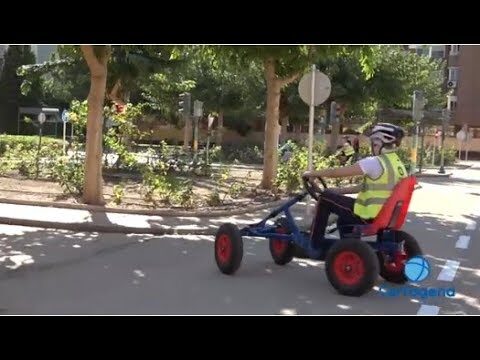 Optimizaci&oacute;n de Ordenanzas de Estacionamiento en Entornos Urbanos