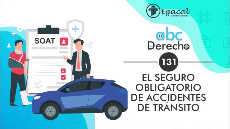 Protecci&oacute;n Jur&iacute;dica a Trav&eacute;s de Seguros Obligatorios