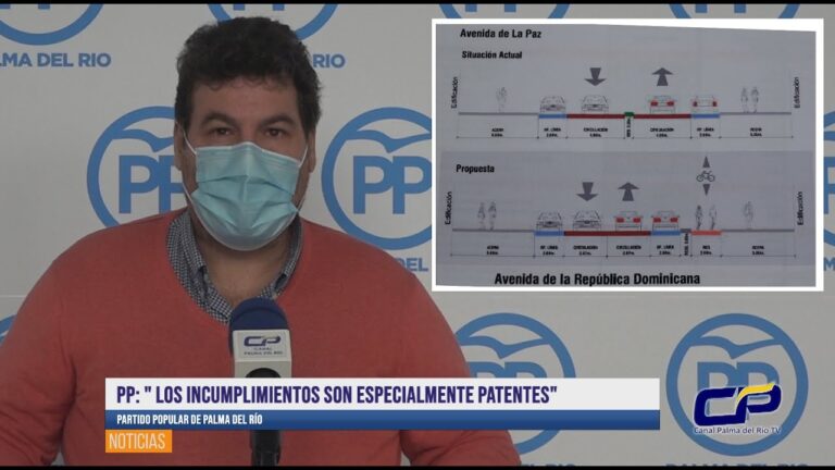 Optimizaci&oacute;n de Directrices para Carriles de Tr&aacute;fico