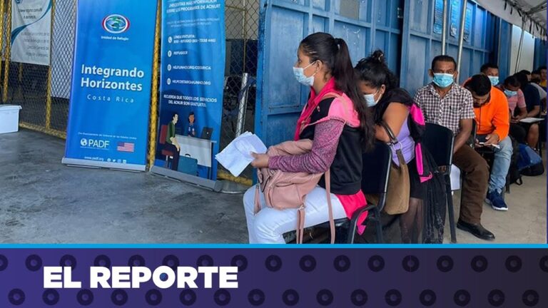 Renovaci&oacute;n R&aacute;pida del Carnet de Conducir: Tr&aacute;mite Expedito