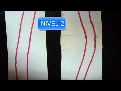 Simulacro Efectivo para la Renovaci&oacute;n del Carnet de Conducir