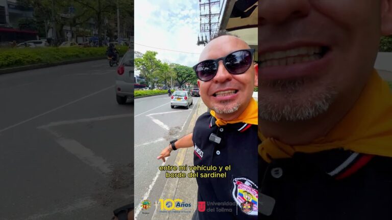 Normativa de Estacionamiento para Conductores Mayores