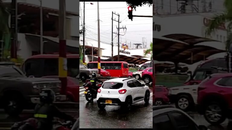 Sem&aacute;foros: Clave en la Educaci&oacute;n Vial para Nuevos Conductores