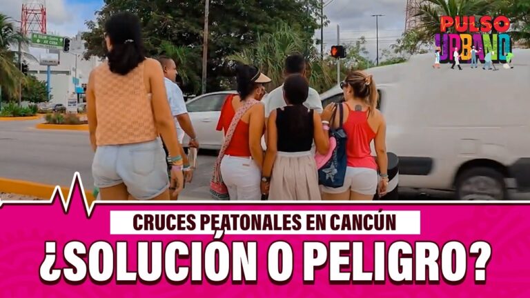 Soluciones Innovadoras de Movilidad para Conductores con Discapacidades