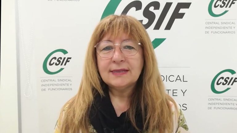 Gu&iacute;a de Asesoramiento para Obtener el Carnet de Conducir en Centros de Tr&aacute;mites Administrativos