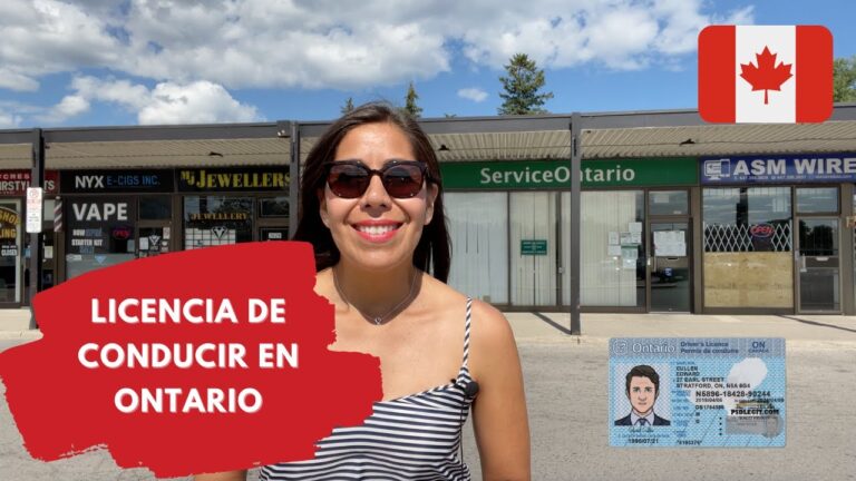 Alternativas al Permiso de Conducir Convencional